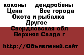 коконы    дендробены › Цена ­ 25 - Все города Охота и рыбалка » Другое   . Свердловская обл.,Верхняя Салда г.